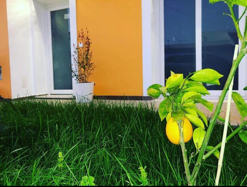 Orange Guest House 萨格里什 外观 照片
